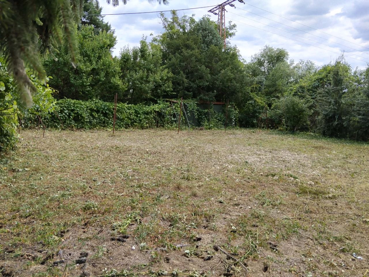 Rendezett terület fűkaszálás után